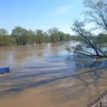 Izvlačenje čoveka iz Velike Morave kod Jagodine (2)