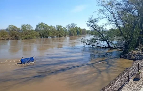 Izvlačenje čoveka iz Velike Morave kod Jagodine (2)