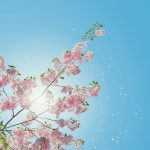 Sunčano, proleće, april, vremenska prognoza, vedro – Anders Jildén on Unsplash