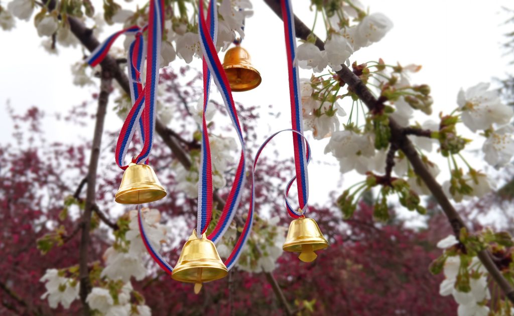 Vrbica – TV Palma Plus – 1950×1200