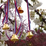 Vrbica – TV Palma Plus – 1950×1200