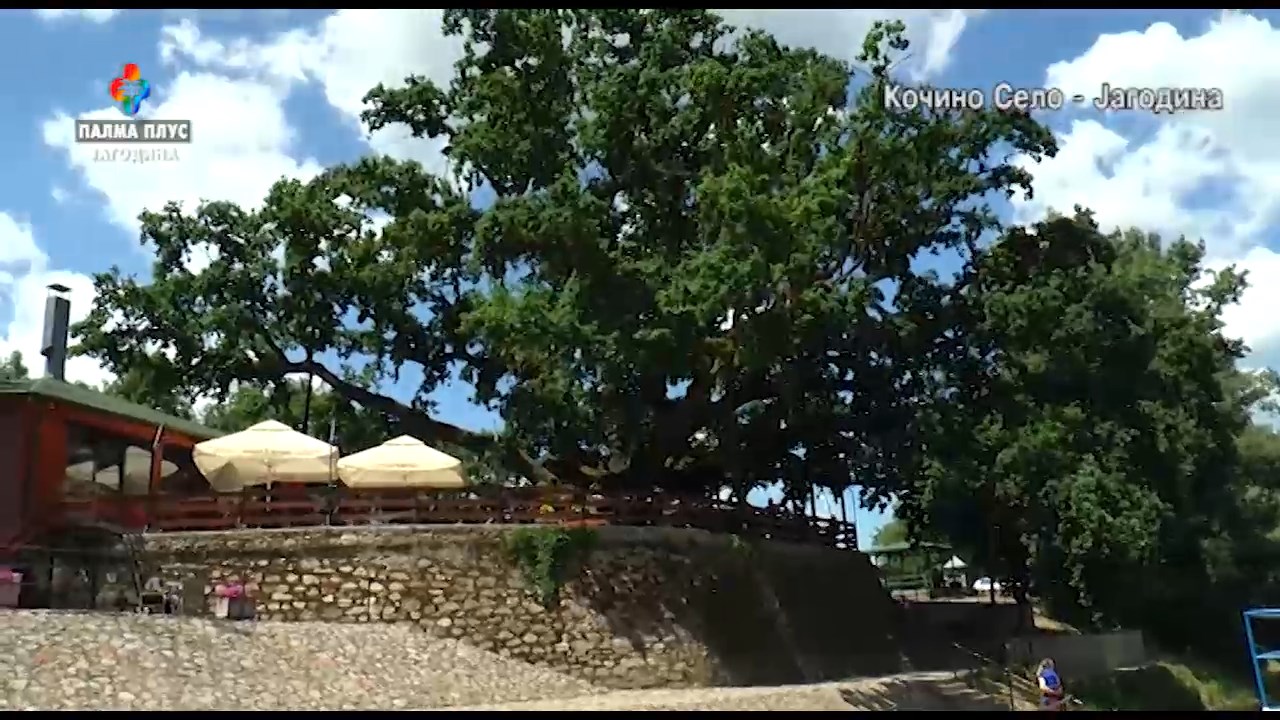 OGNJISTE – KOCINO SELO 31.5.2026.mp4_snapshot_05.31.151