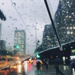 charlee-FD5d3pHkm2c-unsplash