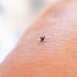 national-institute-of-allergy-and-infectious-diseases-oXh6ZUdW-gg-unsplash