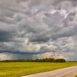 zaz-noba-uAR4jumSo4w-unsplash