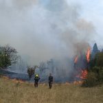 Deliblatska peščara – TV Palma plus (3)