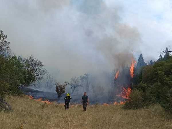 Deliblatska peščara – TV Palma plus (3)