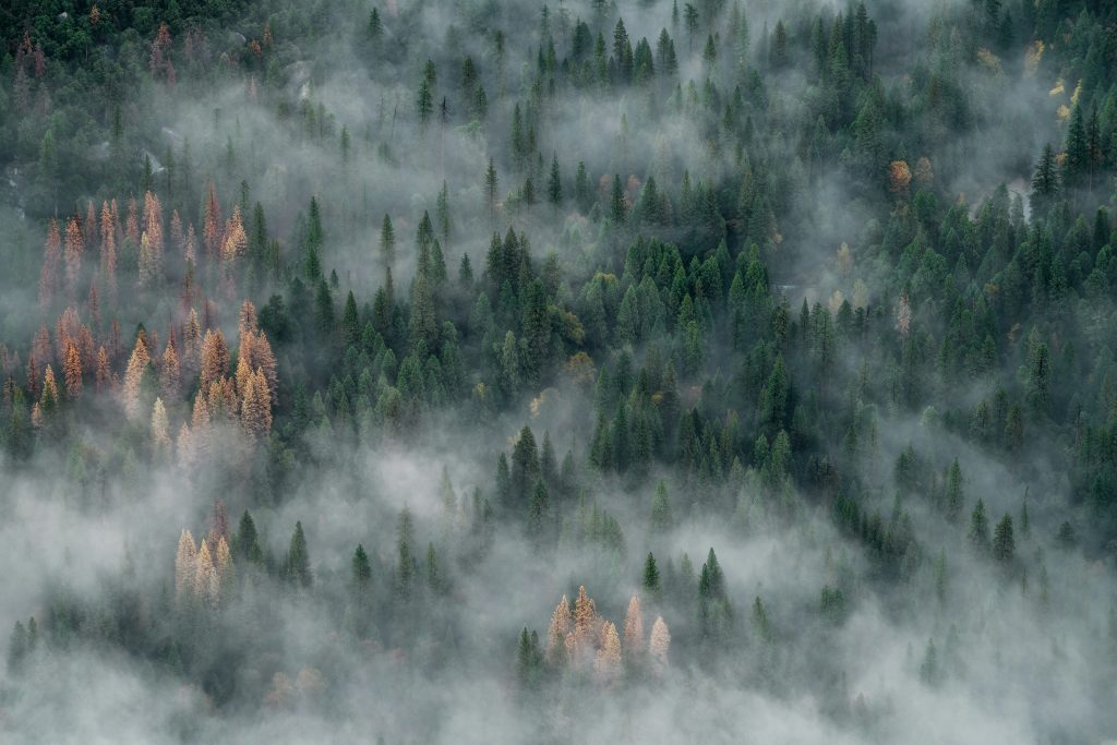 john-towner-89PFnHKg8HE-unsplash