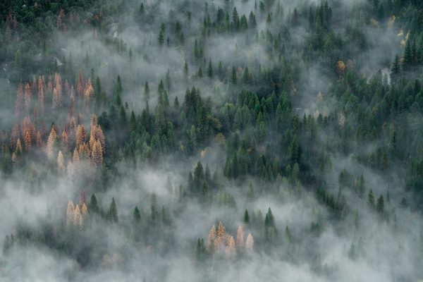 john-towner-89PFnHKg8HE-unsplash