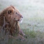 andrew-liu-NAmlq7_JEYw-unsplash