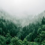 marita-kavelashvili-ugnrXk1129g-unsplash