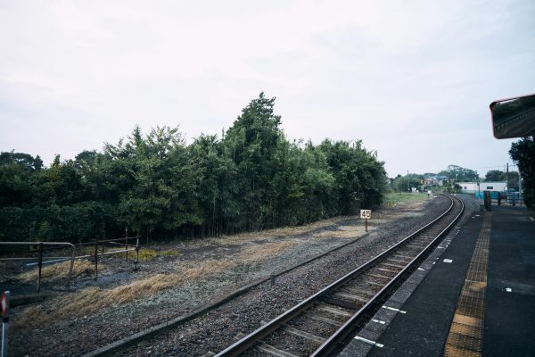 tsuyoshi-kozu-1Qpa21LRMUg-unsplash